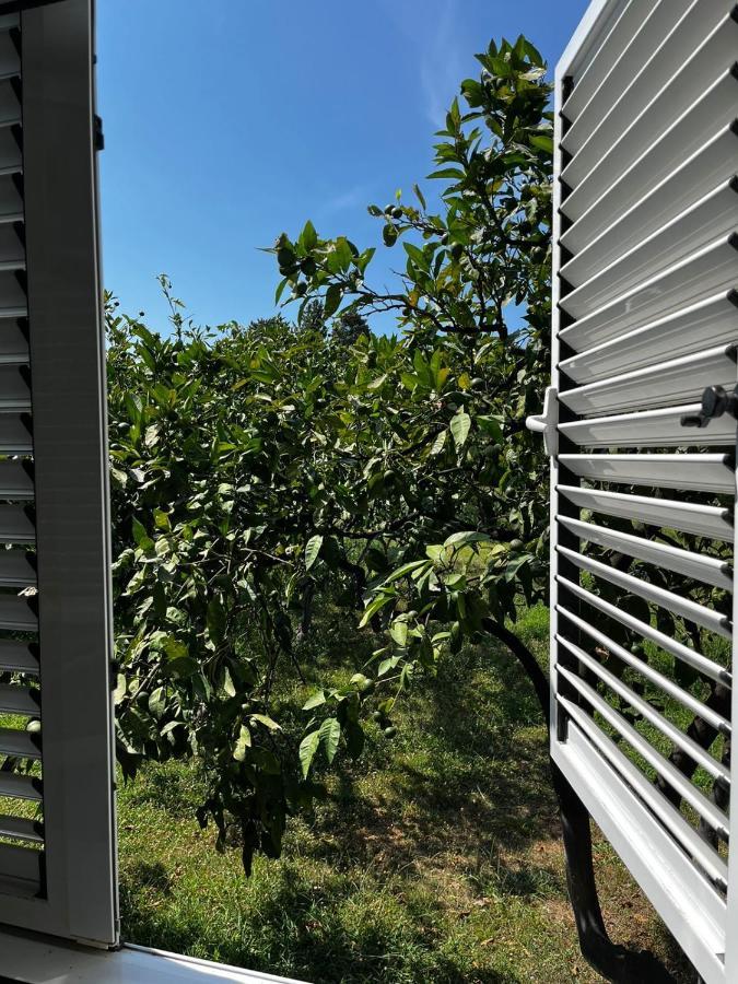 Green Place Bar Εξωτερικό φωτογραφία